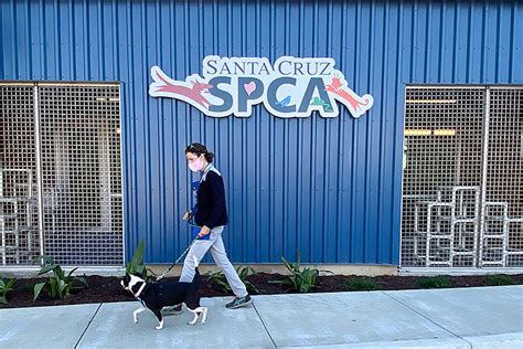 Santa cruz spca - Feb 22, 2022 · The Santa Cruz SPCA's rescue work and adoption center, free pet food bank, free training classes, second chance fund, and our work on spay and neuter ordinances and laws all work towards a future where healthy adoptable animals no longer need to be euthanized in public shelters to make room for more coming in the door. 